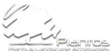 Plantos | plants & landscape accessories